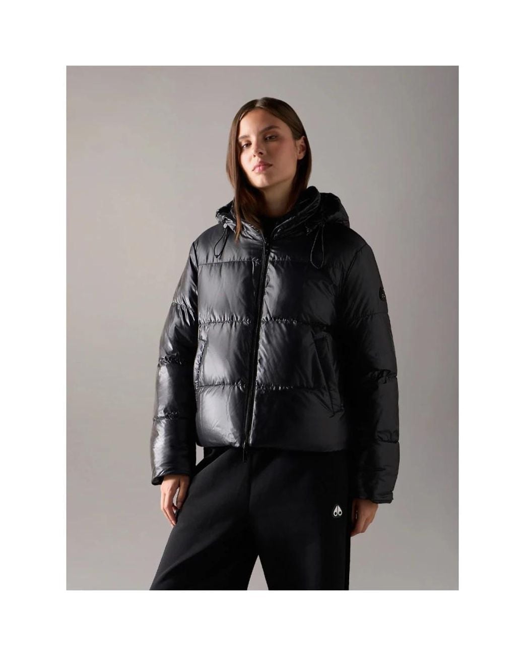 Down Jackets di Moose Knuckles in Black