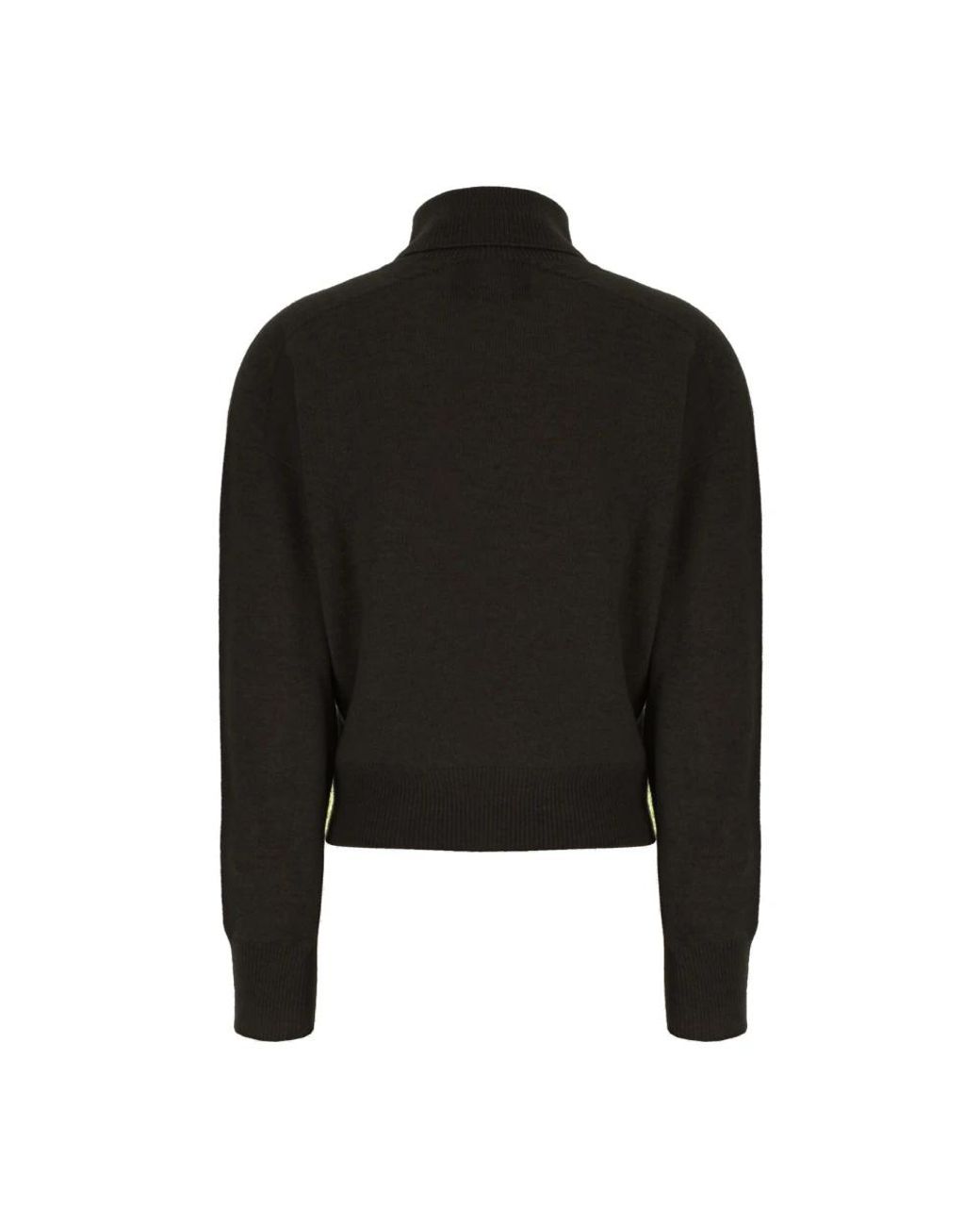 Turtlenecks di Vanisé in Black