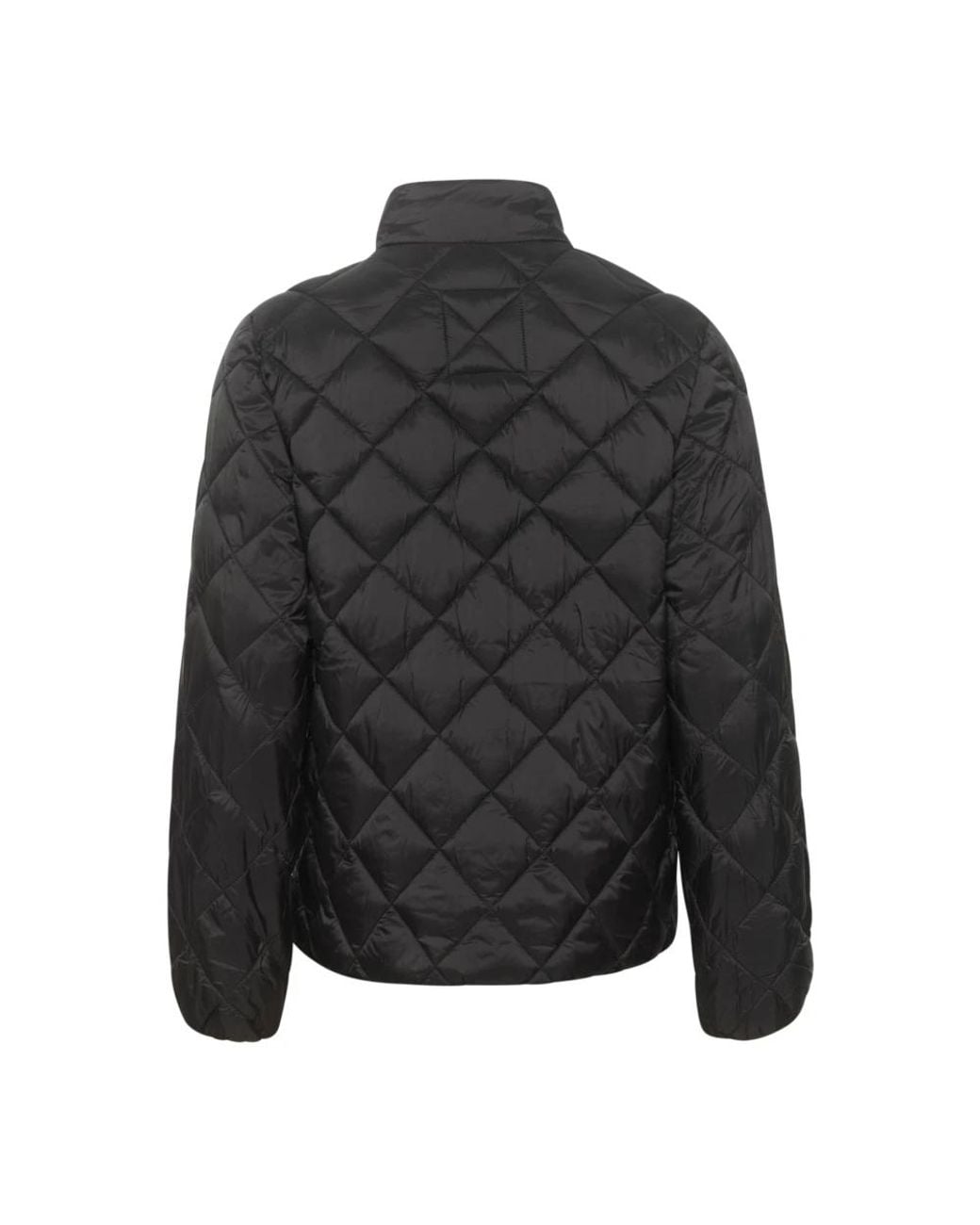 Light Jackets Part Two en coloris Black