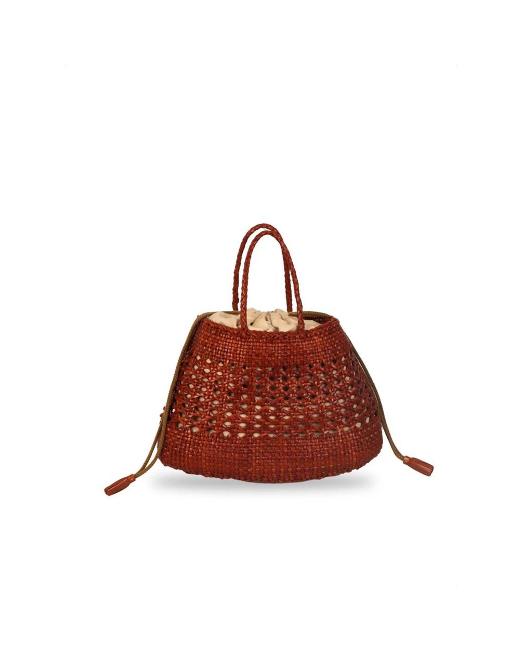 Handbags Dragon Diffusion de color Brown