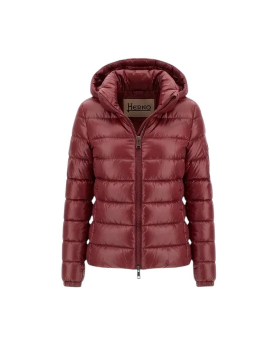 Down Jackets Herno en coloris Red