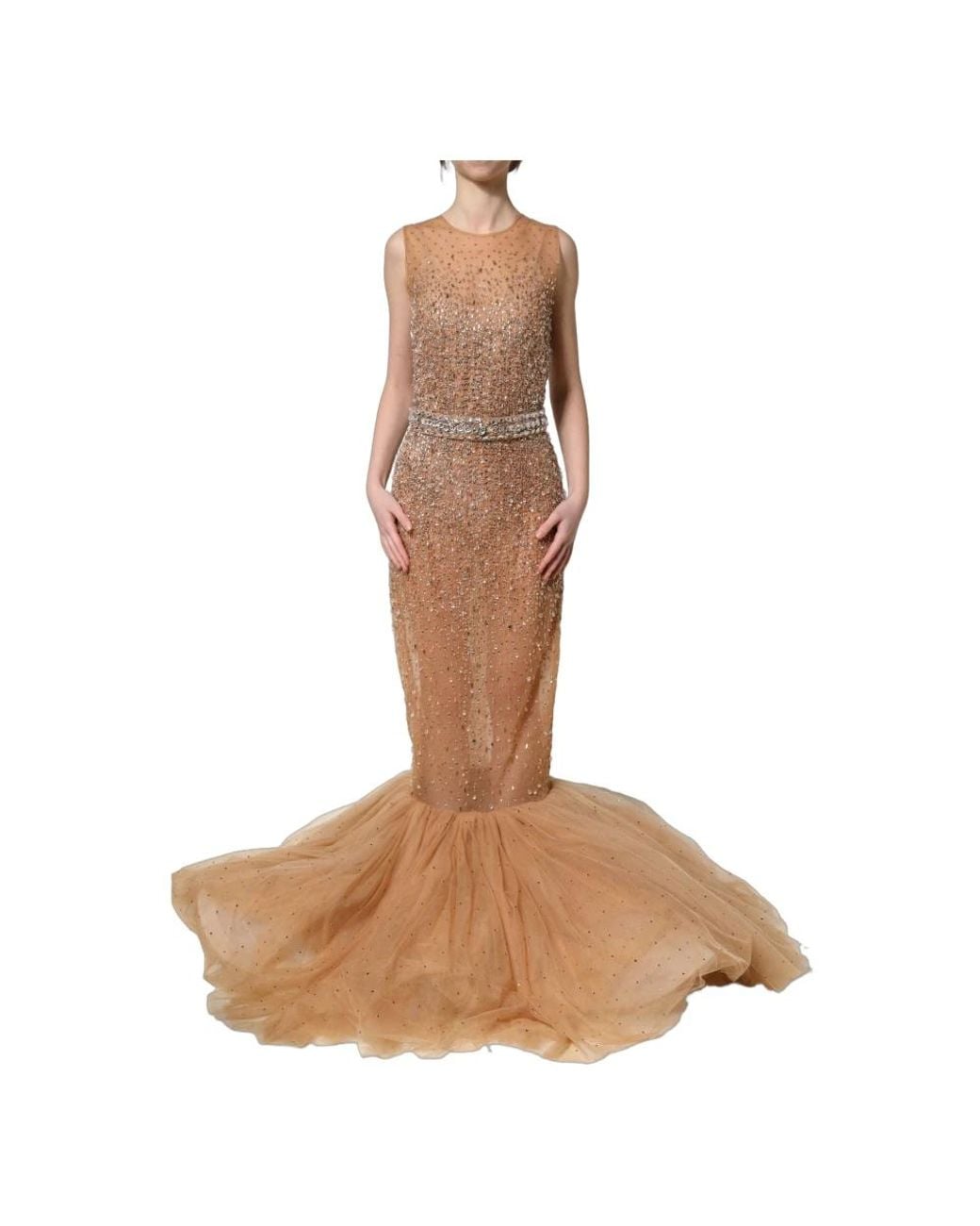 Dolce & Gabbana Brown Gowns