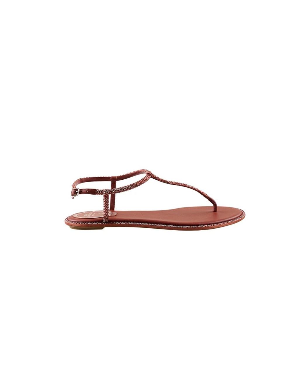 Rene Caovilla Brown Flat Sandals