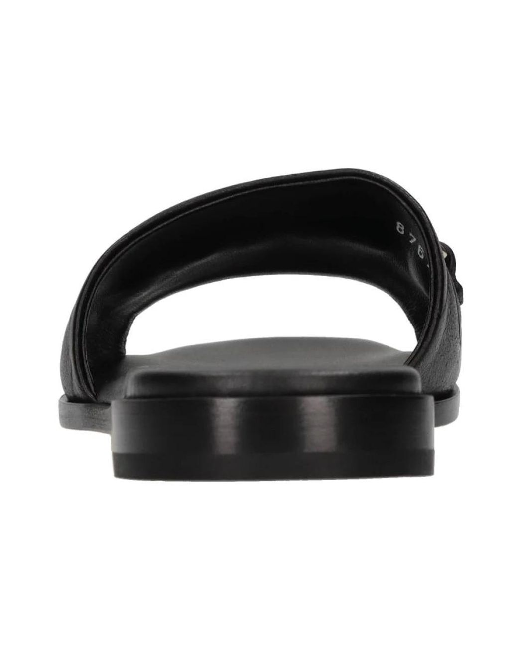 Doucal's Black Sliders