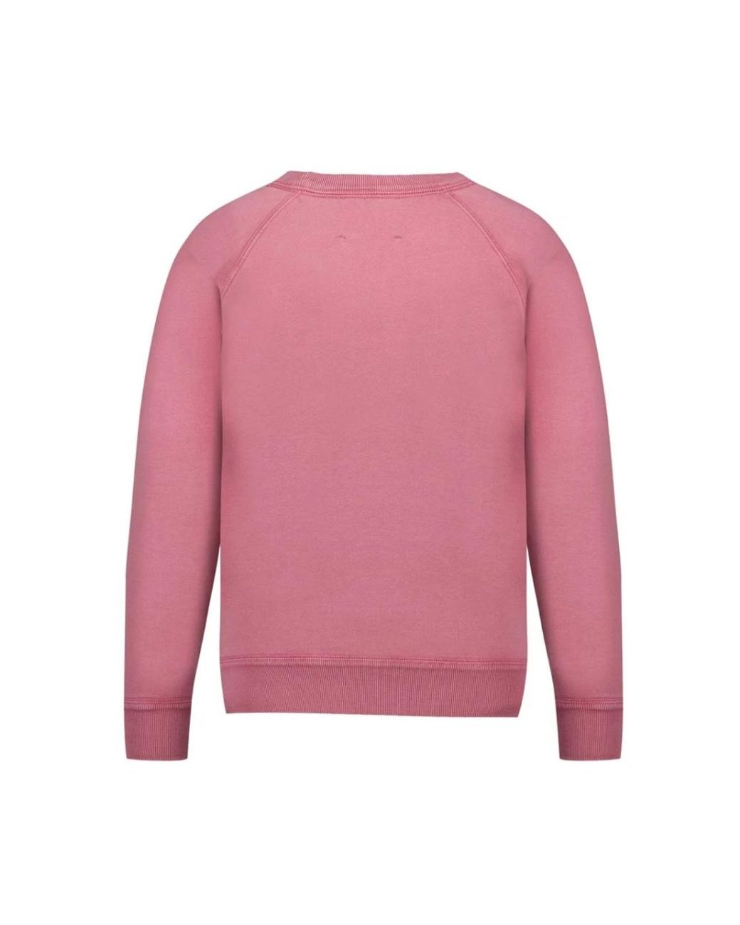 Isabel Marant Pink Sweatshirts