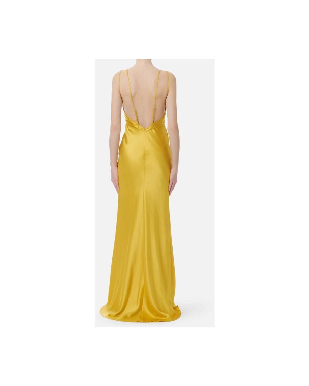 Elisabetta Franchi Yellow Gowns