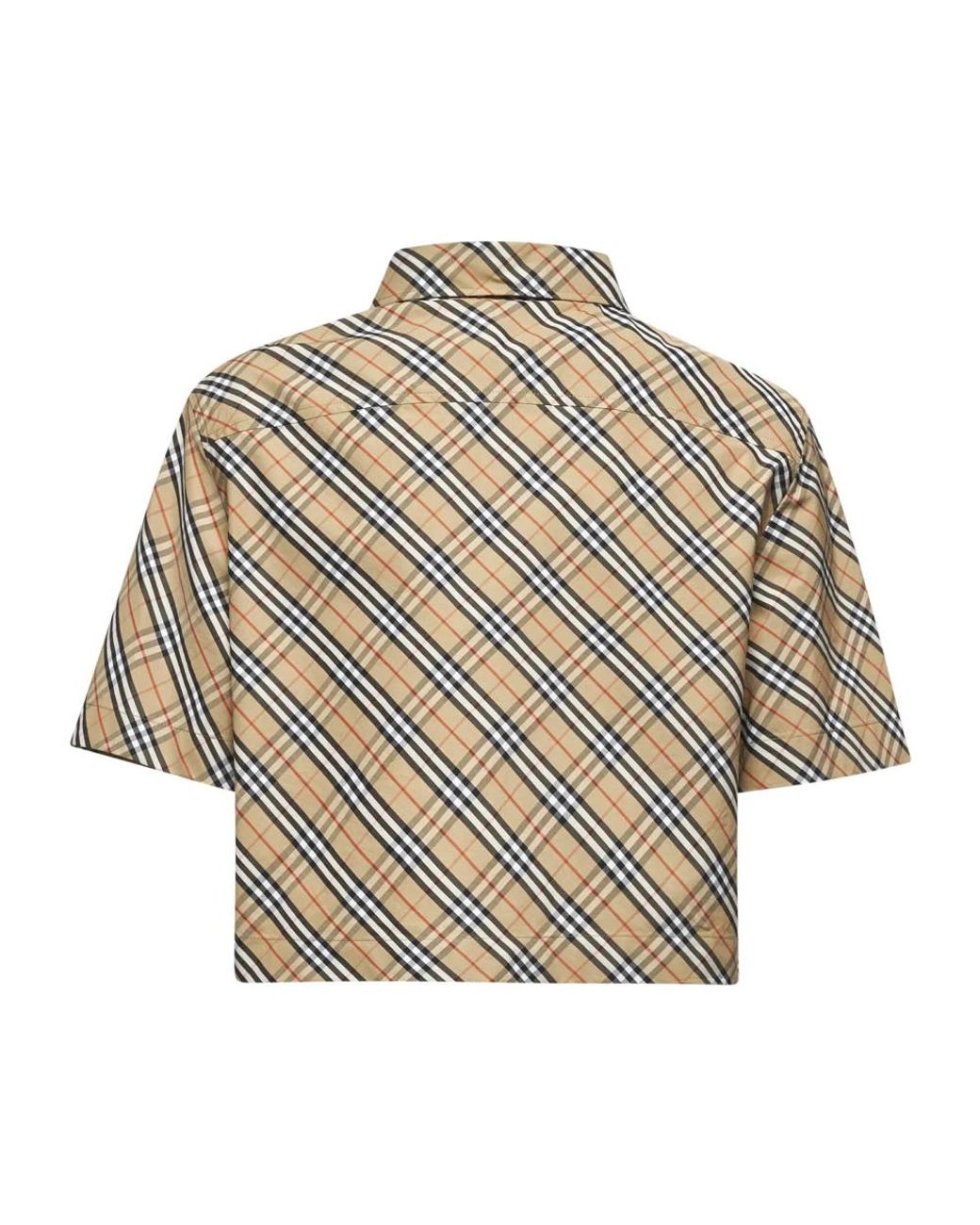 Burberry Brown Shirts