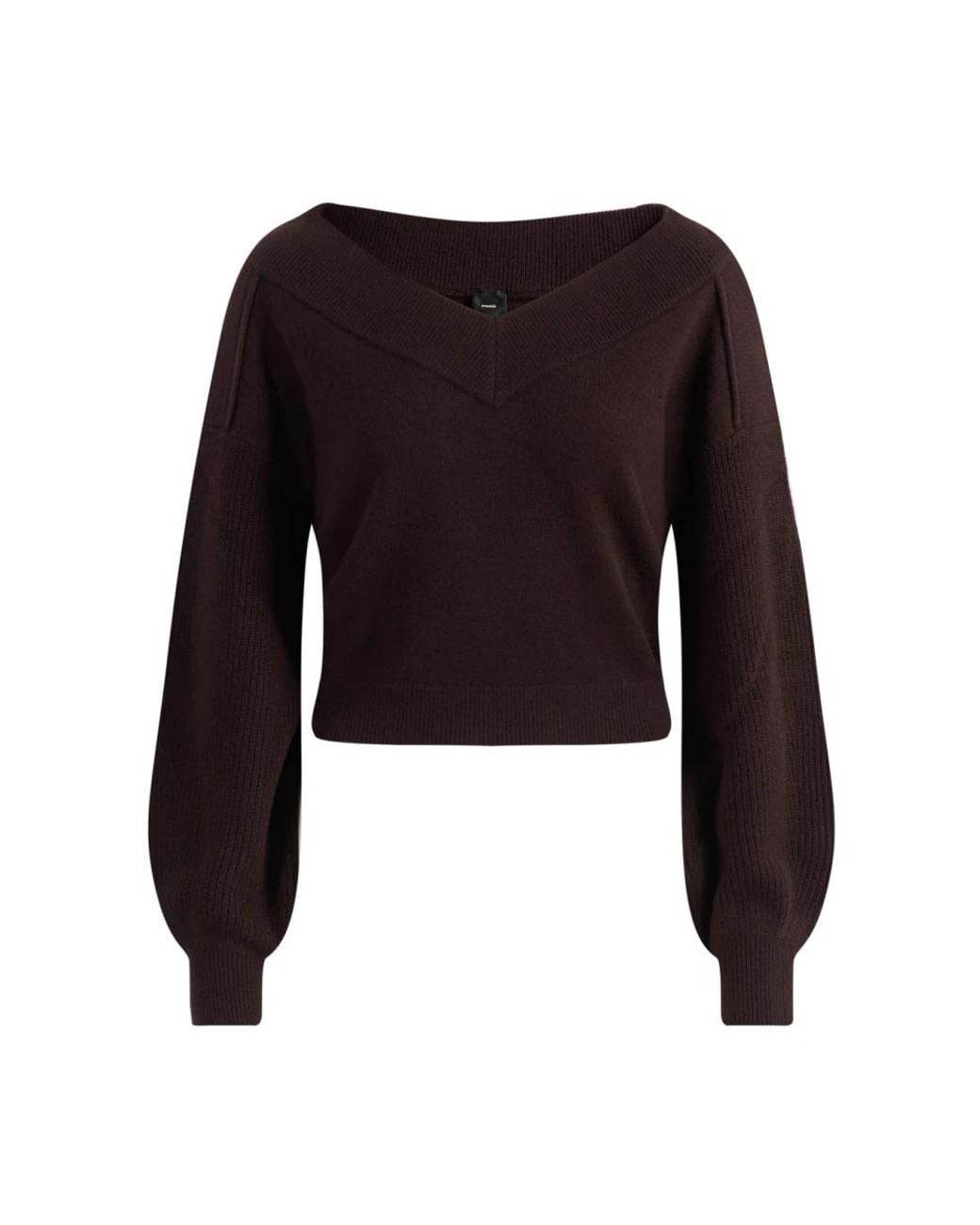 Pinko Ringhio Pull Pure in het Black