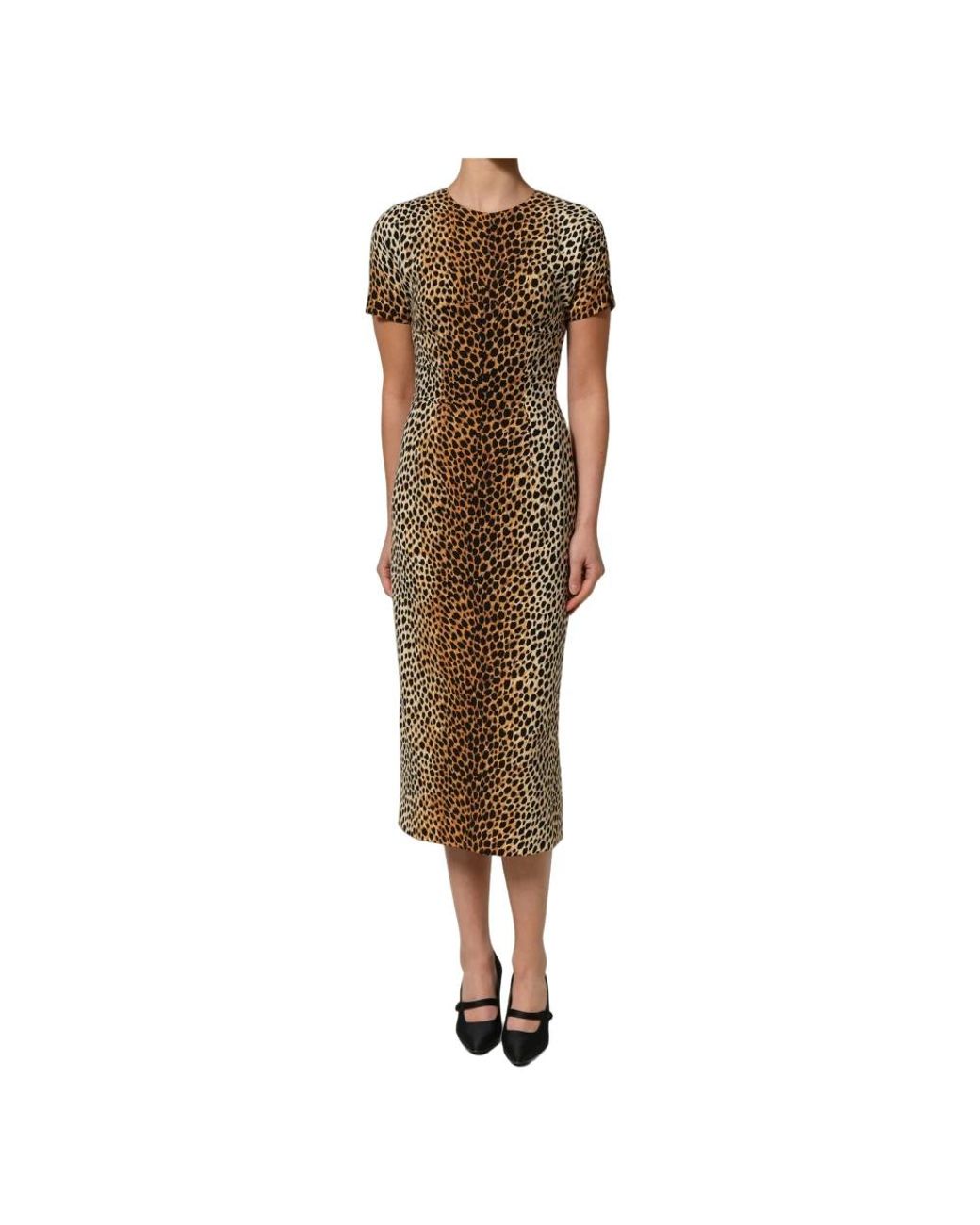 Dolce & Gabbana Sheath Midi Jurk in het Brown