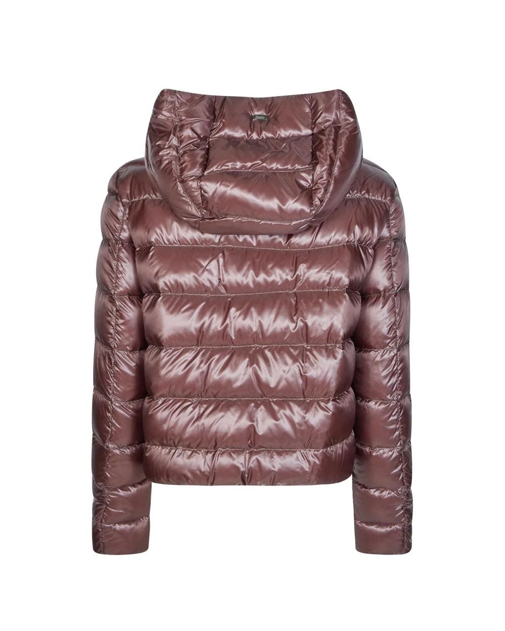 Winter Jackets Herno en coloris Multicolor