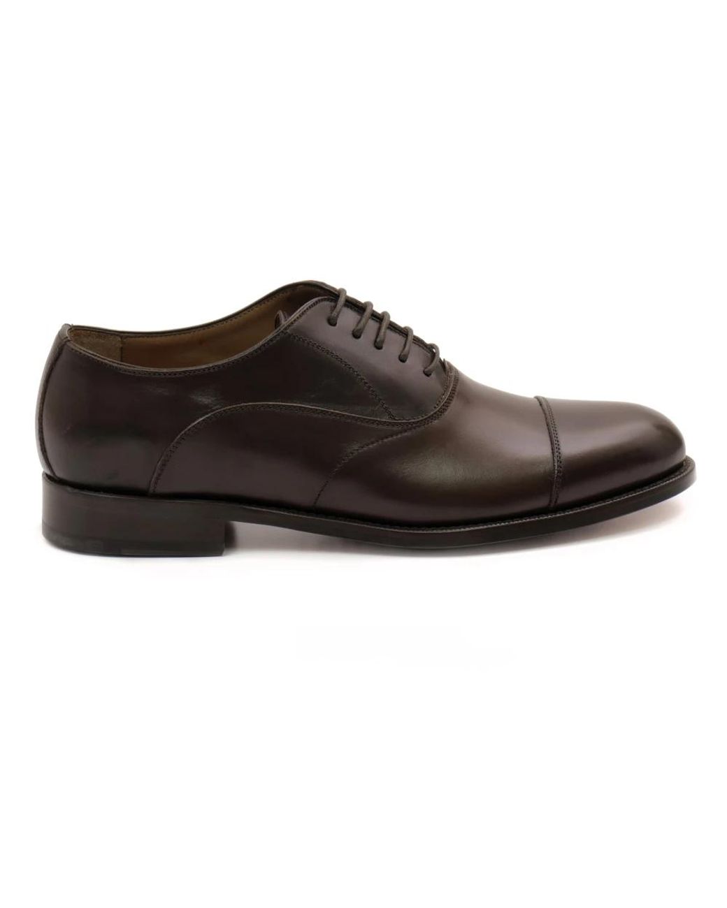 Calpierre Brown Dress Shoes for men