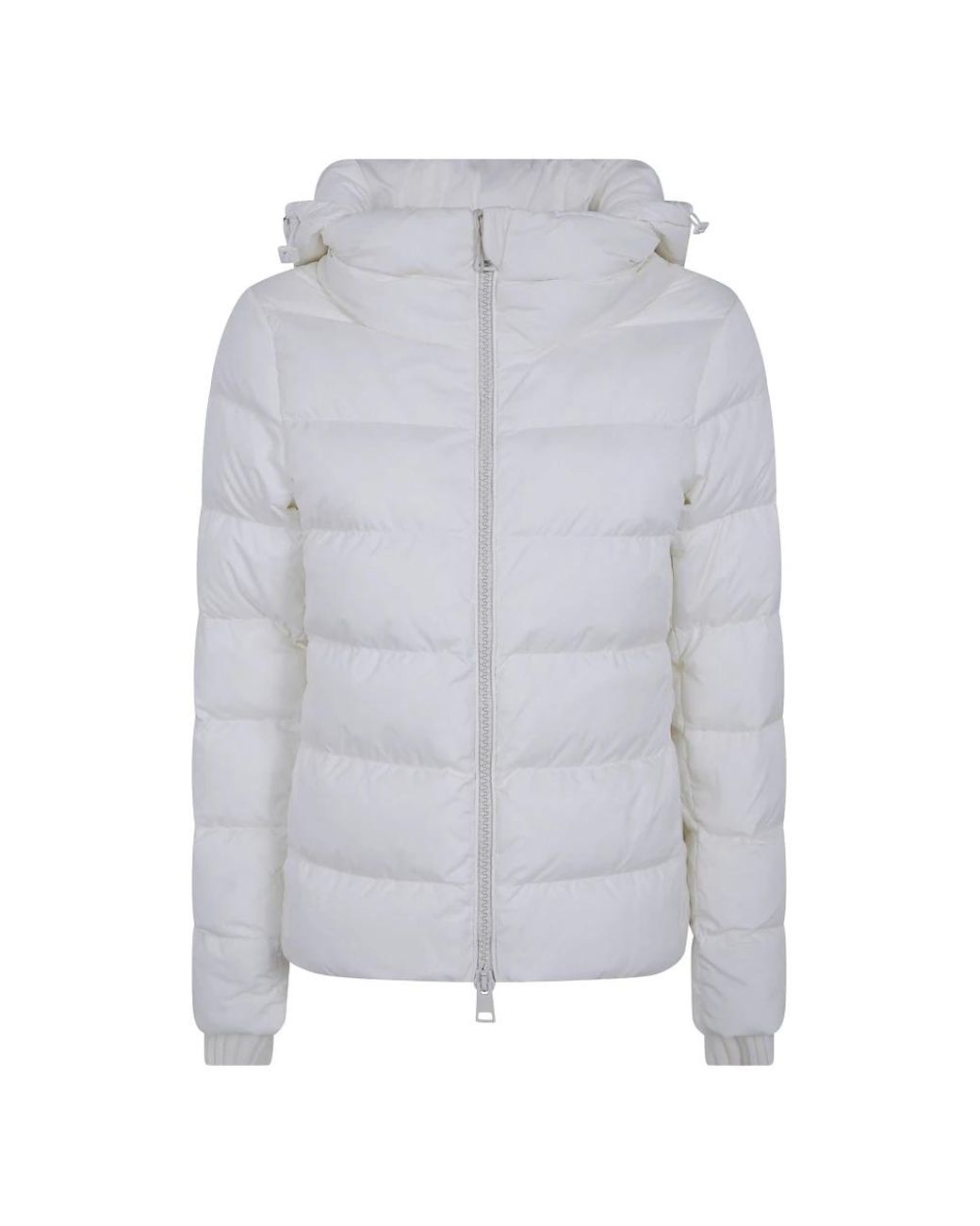 Winter Jackets Herno en coloris Gray