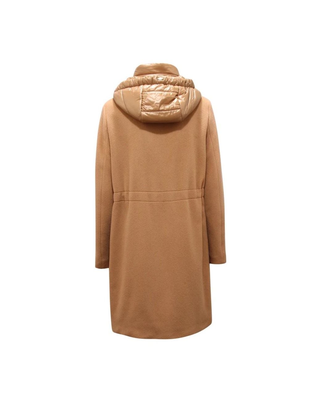 Single-Breasted Coats Herno en coloris Brown