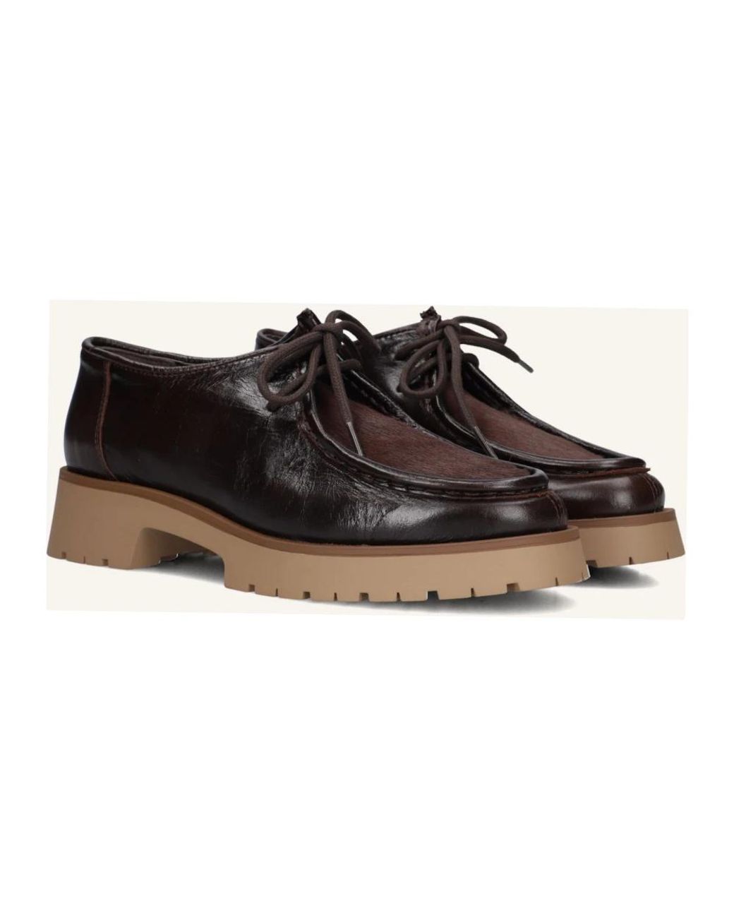 CTWLK Brown Laced Shoes