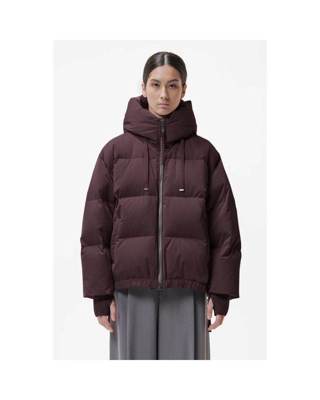 Winter Jackets DUNO de color Purple