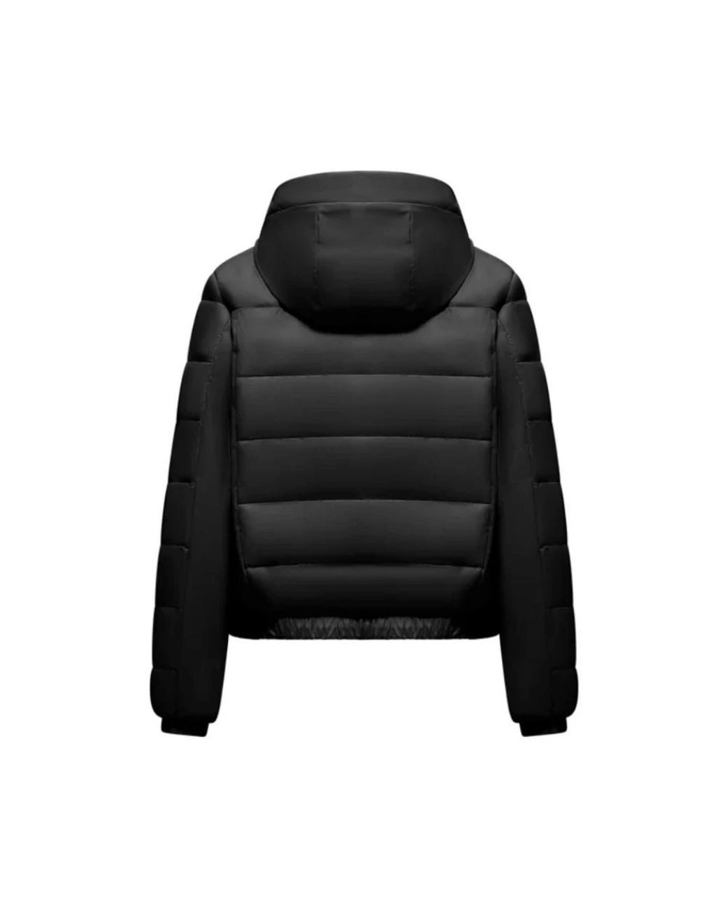 Winter Jackets INVICTA WATCH en coloris Black