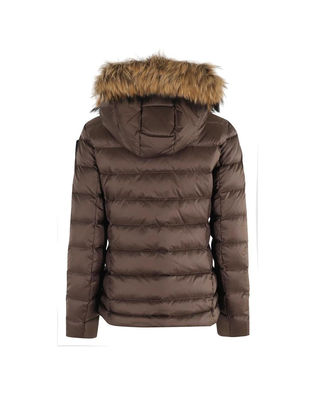 Blauer Jassen ,Bruin ,Waterbestendige Arcadia Donsjack in het Brown