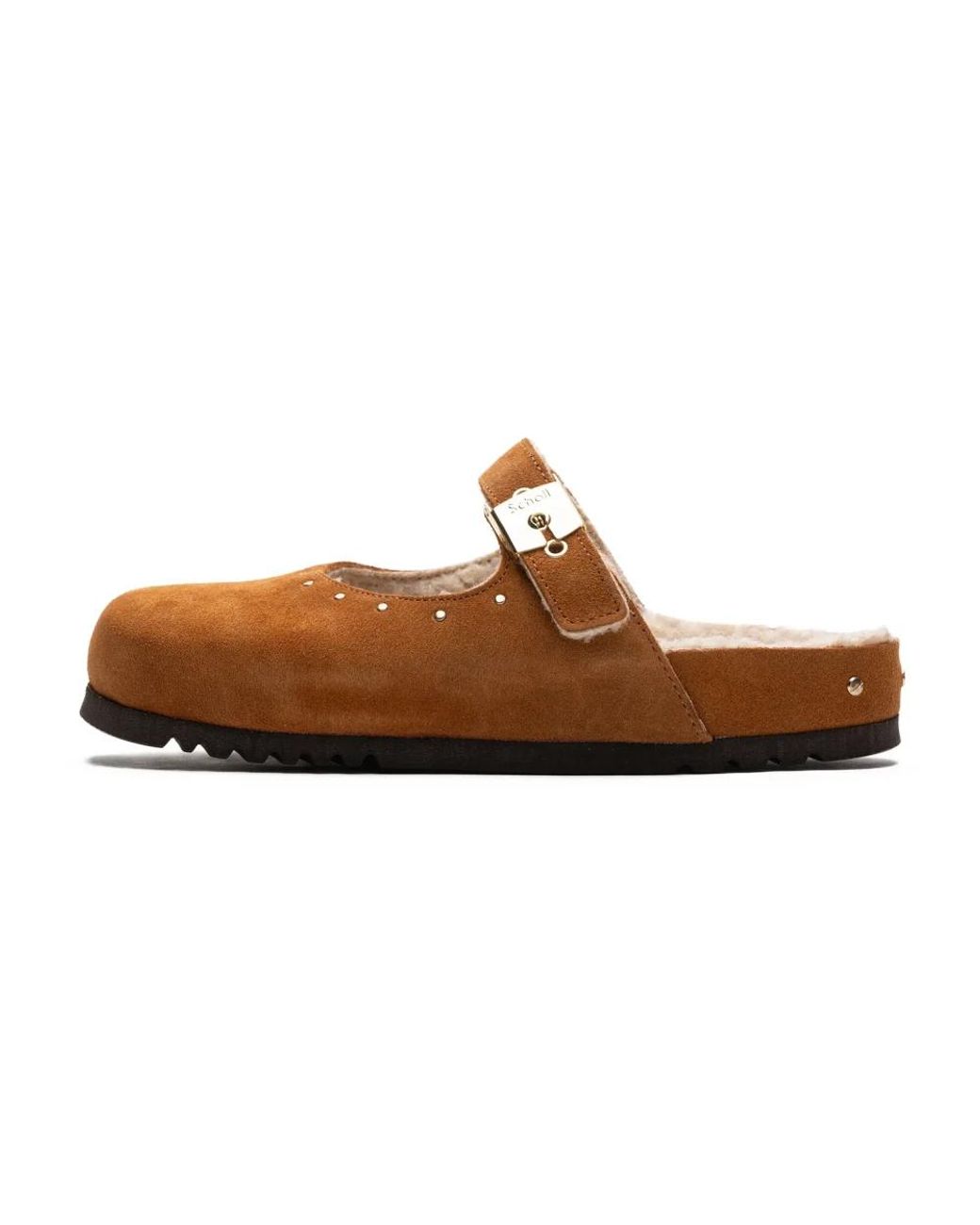 Mules Scholl en coloris Brown