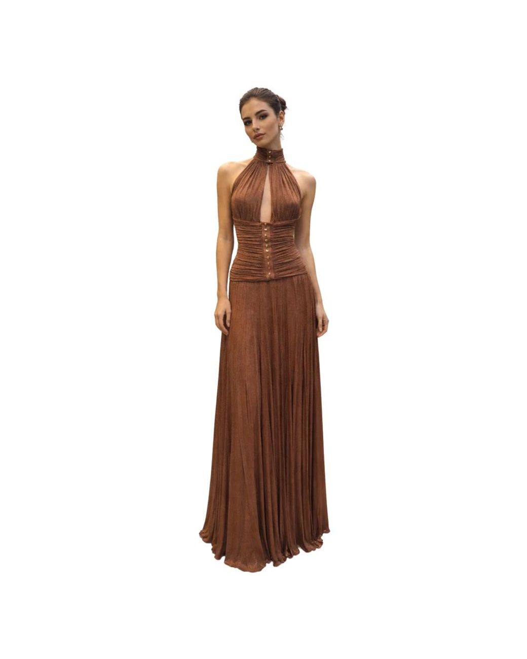 Elisabetta Franchi Brown Gowns
