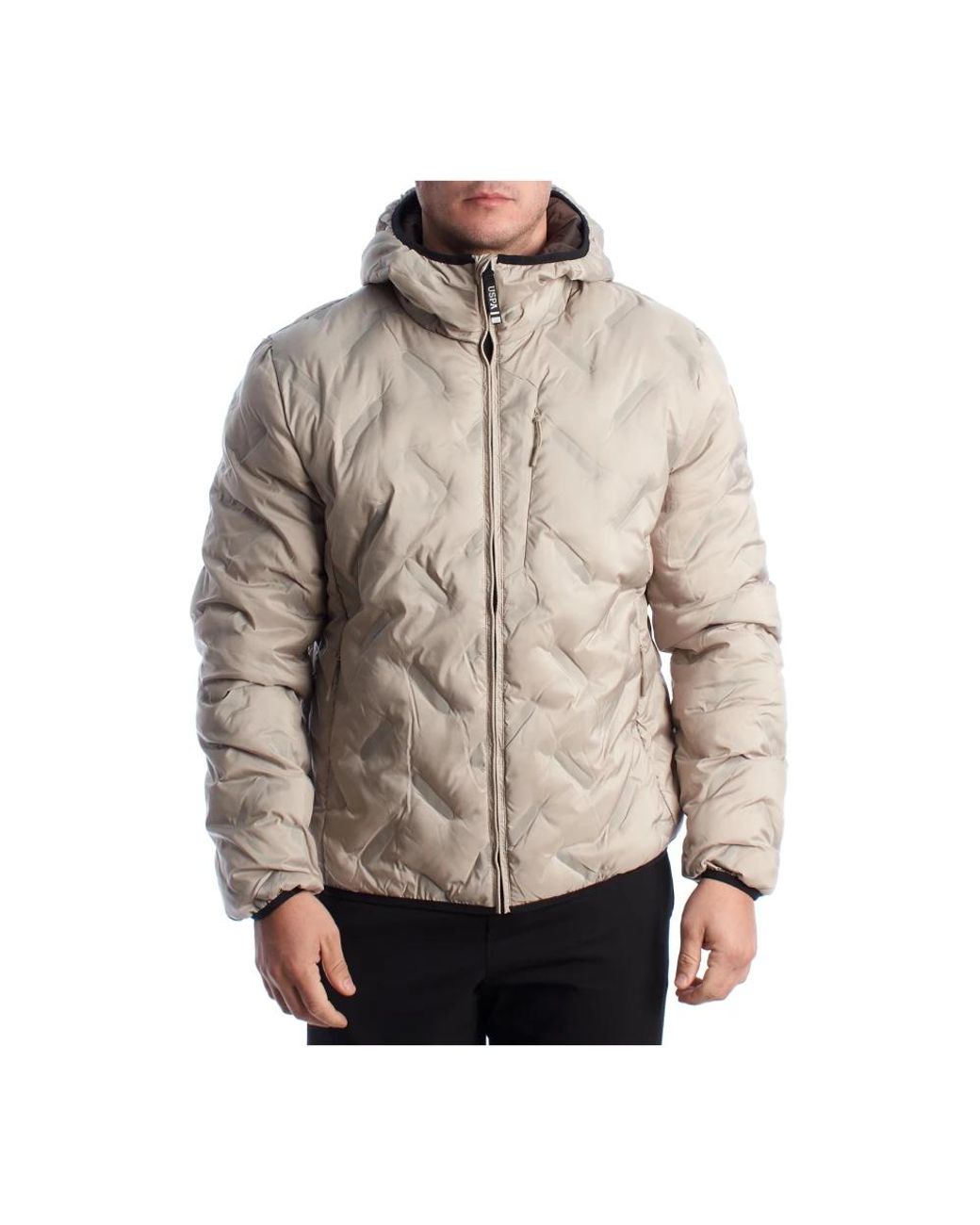 Winter Jackets U.S. POLO ASSN. pour homme en coloris Natural