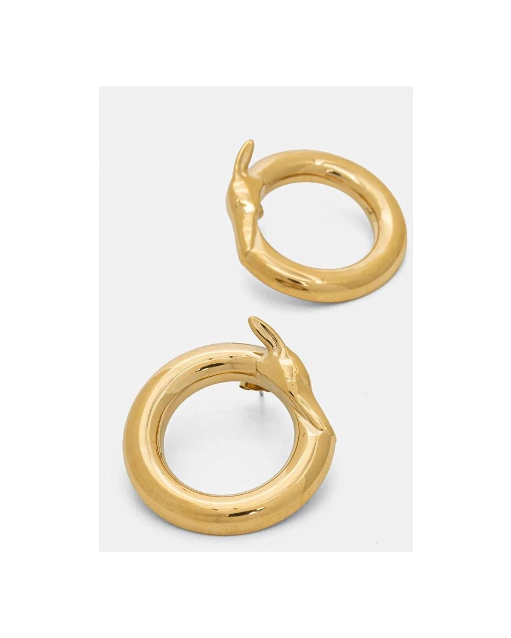 Earrings di Trussardi in Metallic