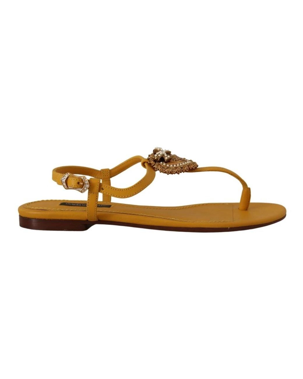 Dolce & Gabbana Brown Flat Sandals
