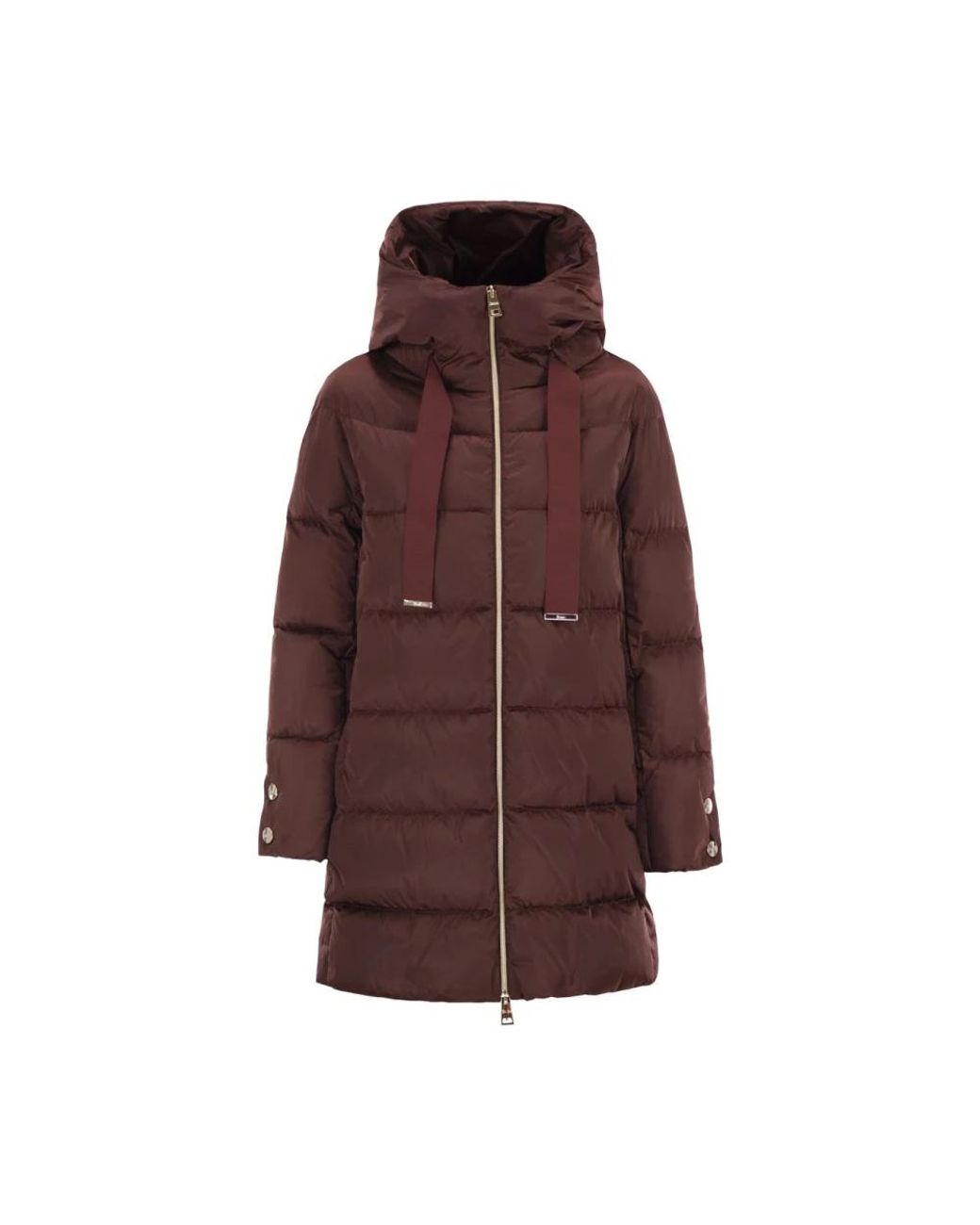 Down Jackets di Herno in Brown