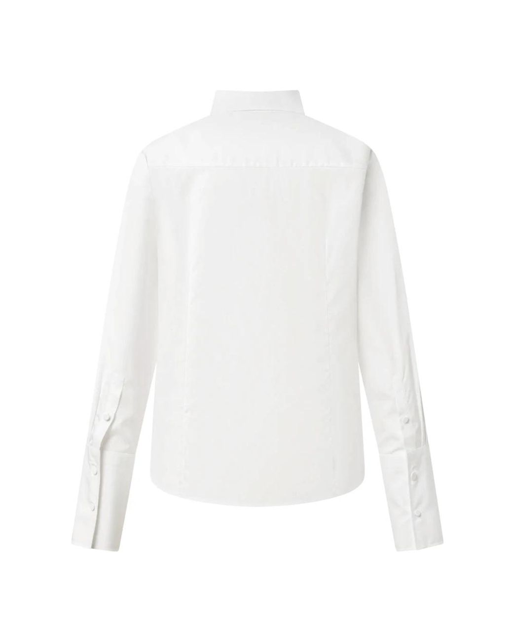 Windsor. White Shirts