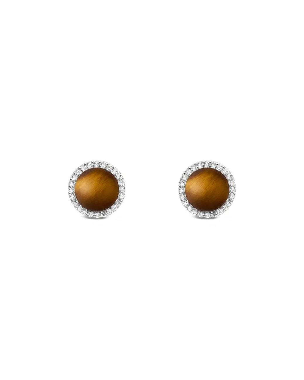 Earrings di Daniel Wellington in Metallic