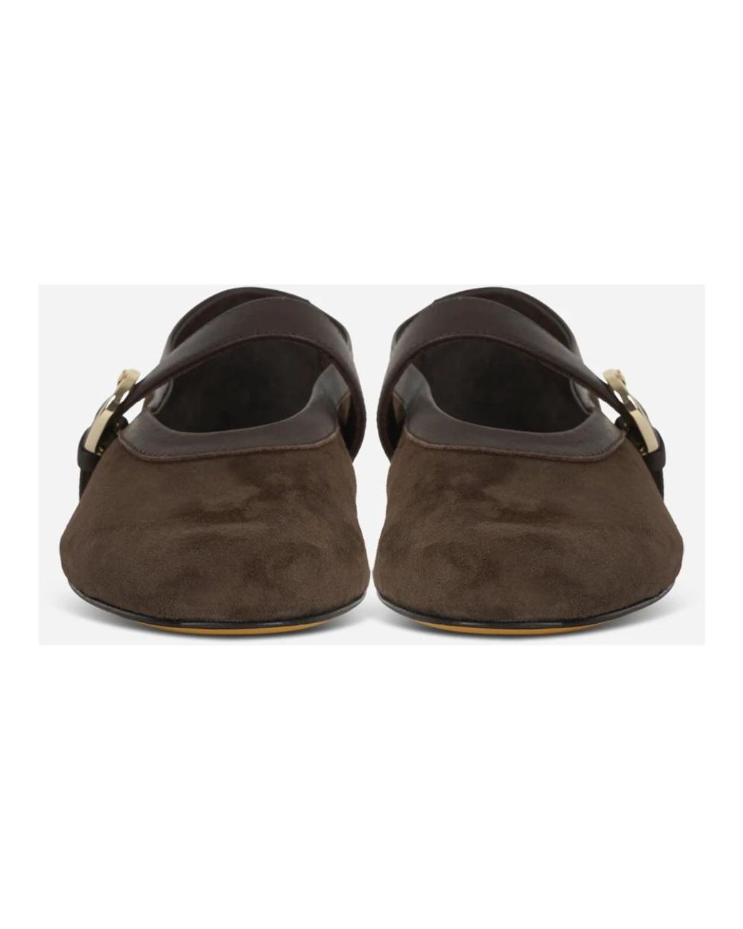 Doucal's Brown Ballerina