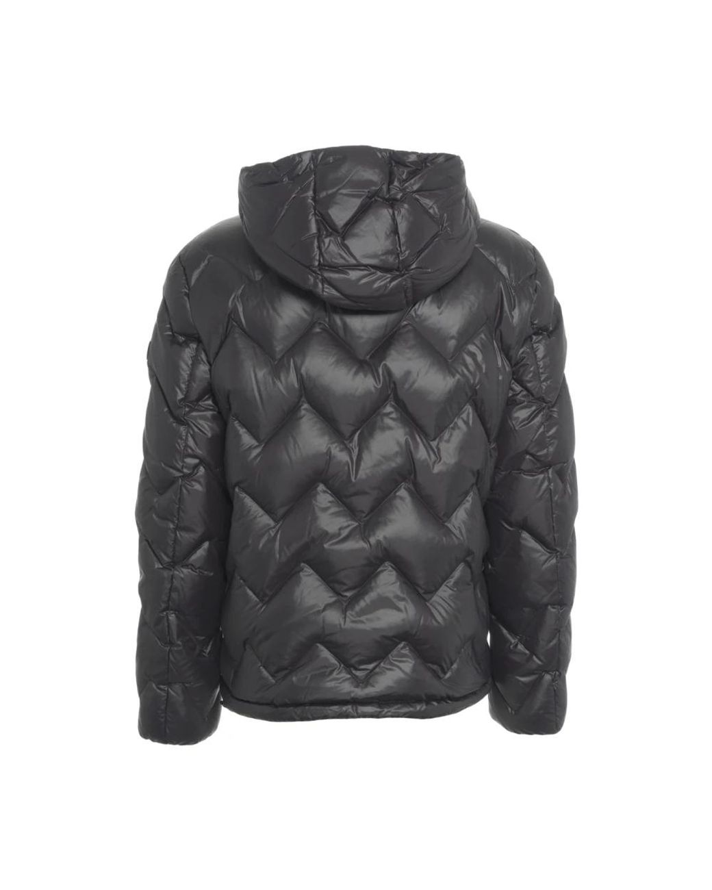 Down Jackets Peuterey de hombre de color Gray
