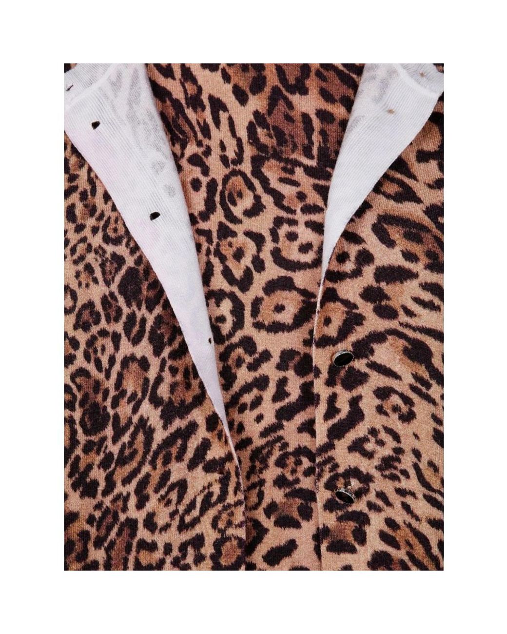 Cardigans Twinset de color Brown
