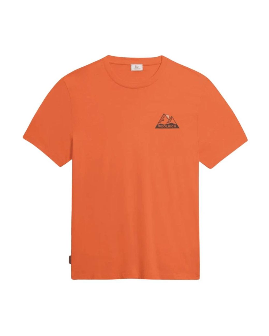 Woolrich Mountain Tee in het Orange voor heren