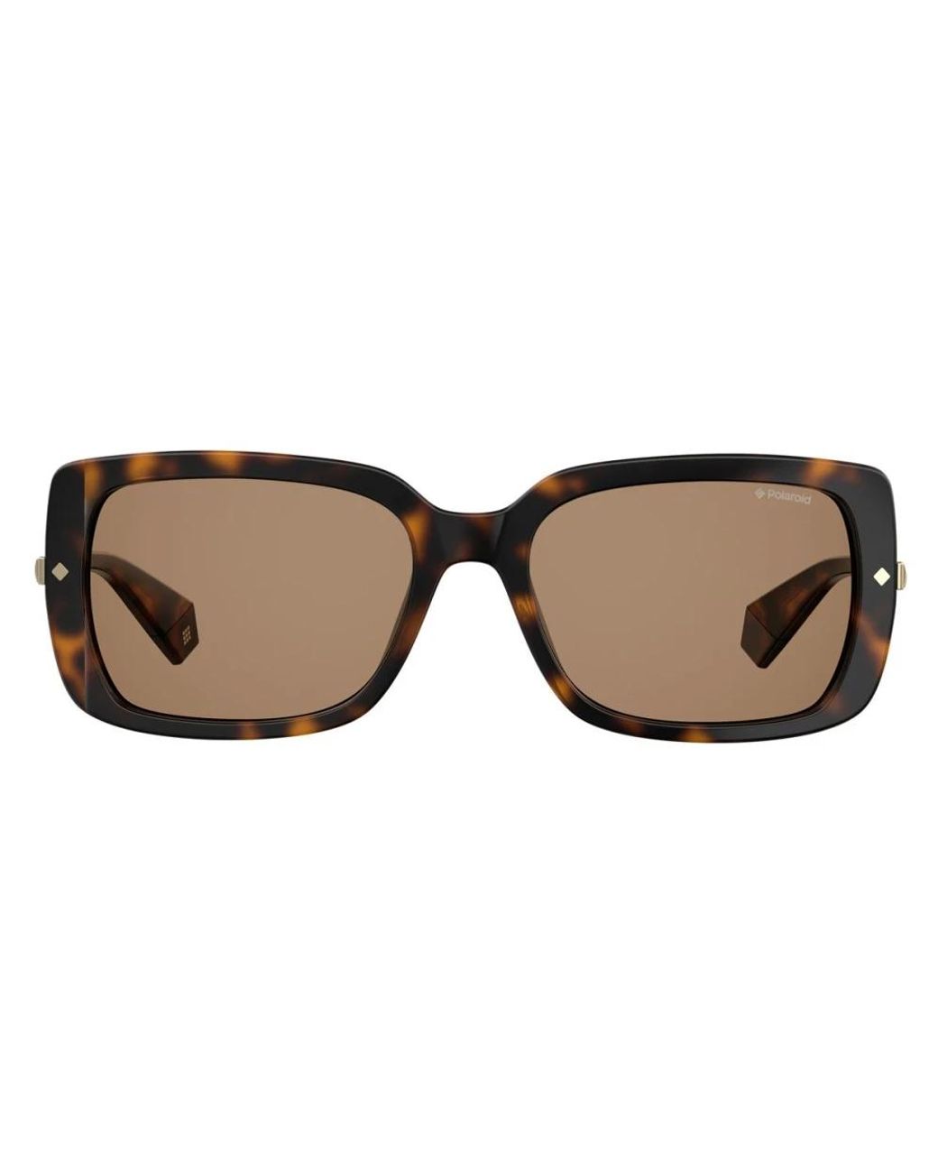 Polaroid Brown Sunglasses for men
