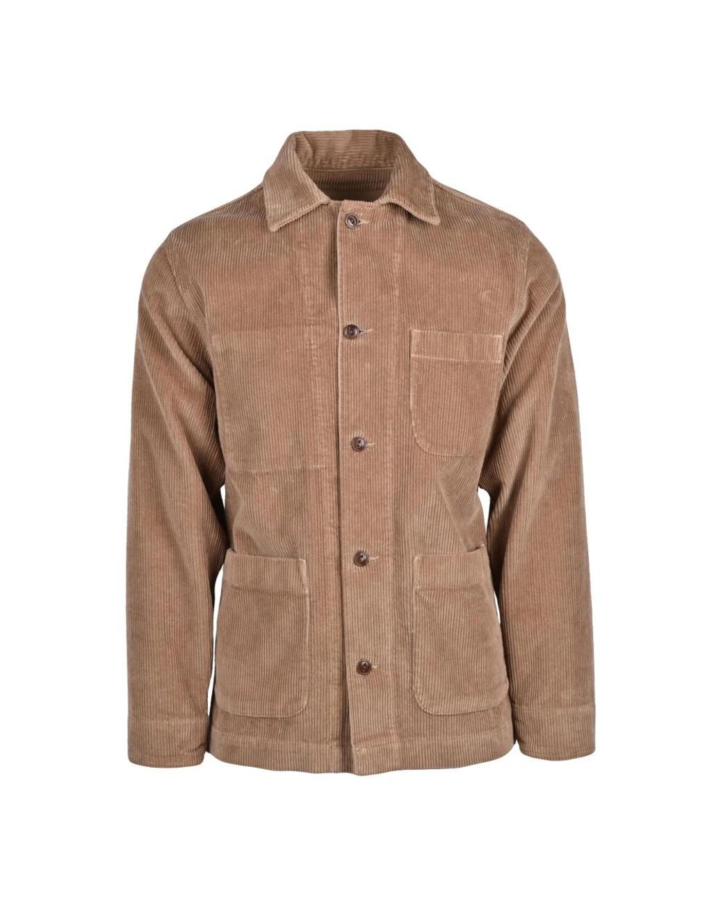 chesapeake's Brown Light Jackets for men