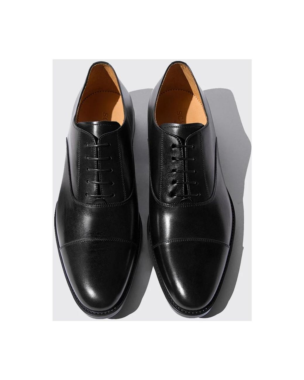 Scarosso Black Cesare Derbies for men