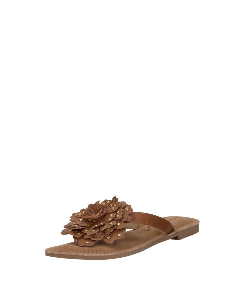 Flip Flops Lazamani en coloris Brown
