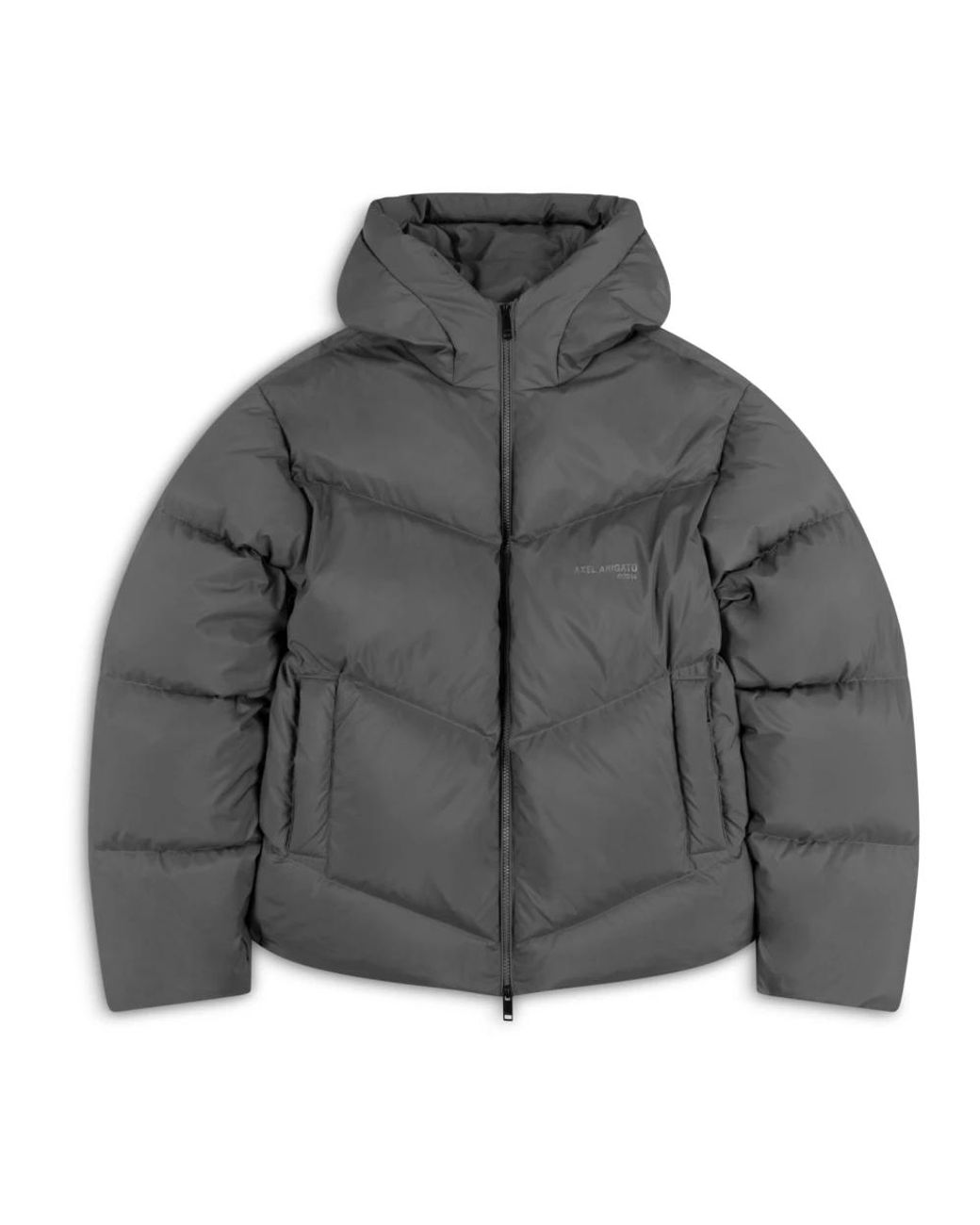 Winter Jackets Axel Arigato de hombre de color Gray