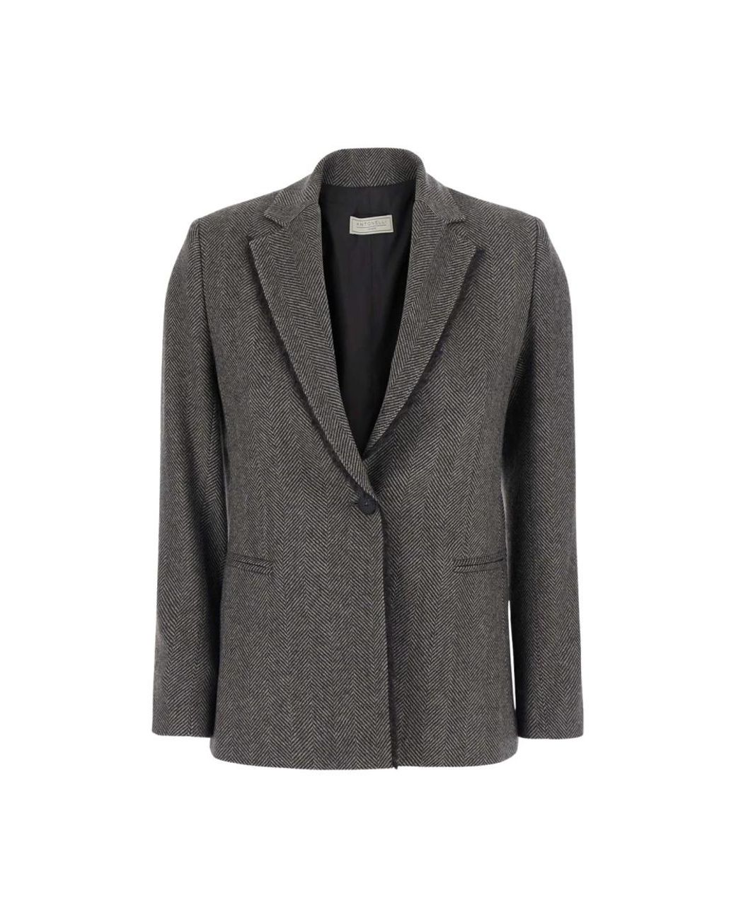 Antonelli Gotland Single-Breasted Blazer in het Gray