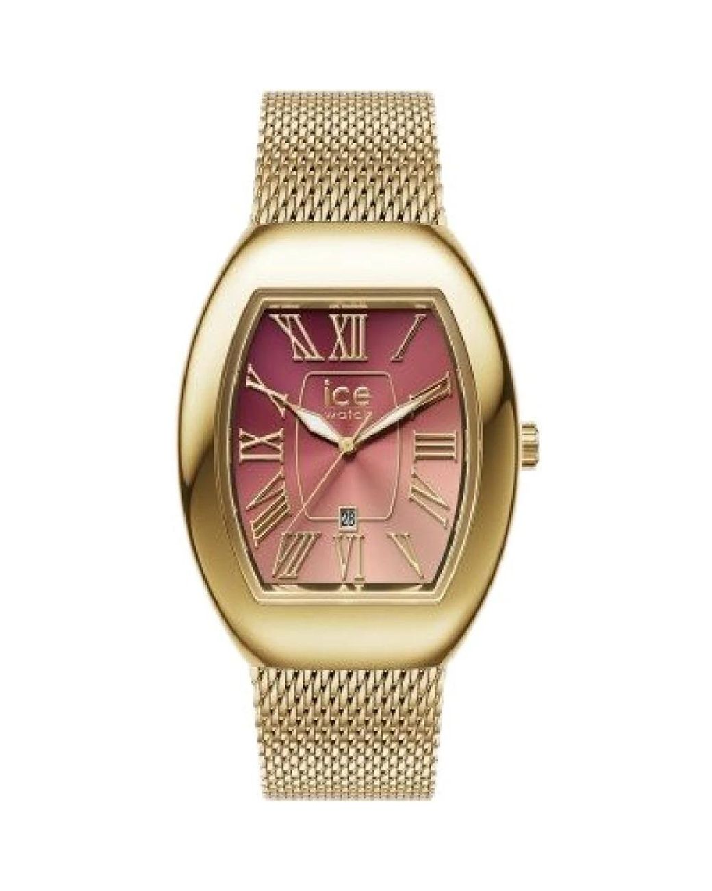 Ice-watch Horloges in het Metallic