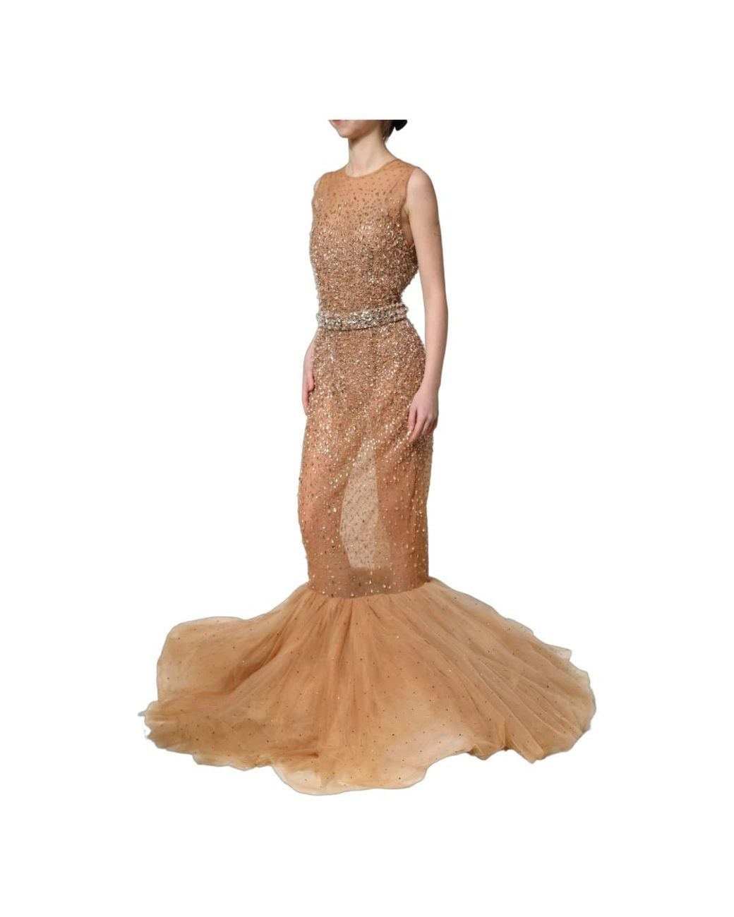 Dolce & Gabbana Brown Gowns