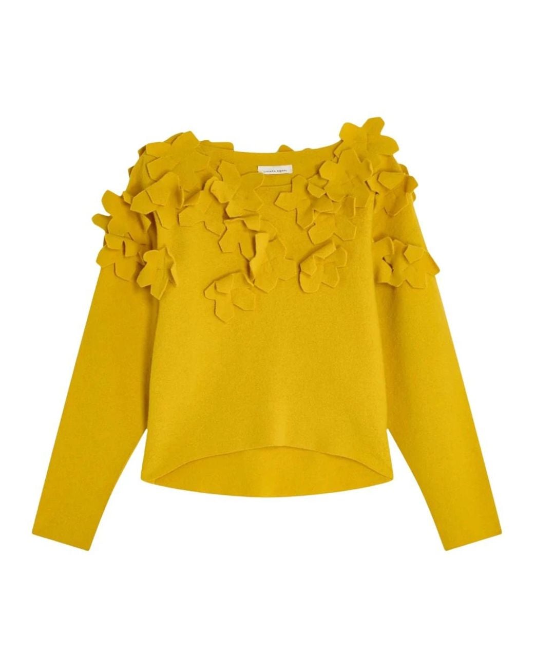 Liviana Conti Yellow Round-Neck Knitwear