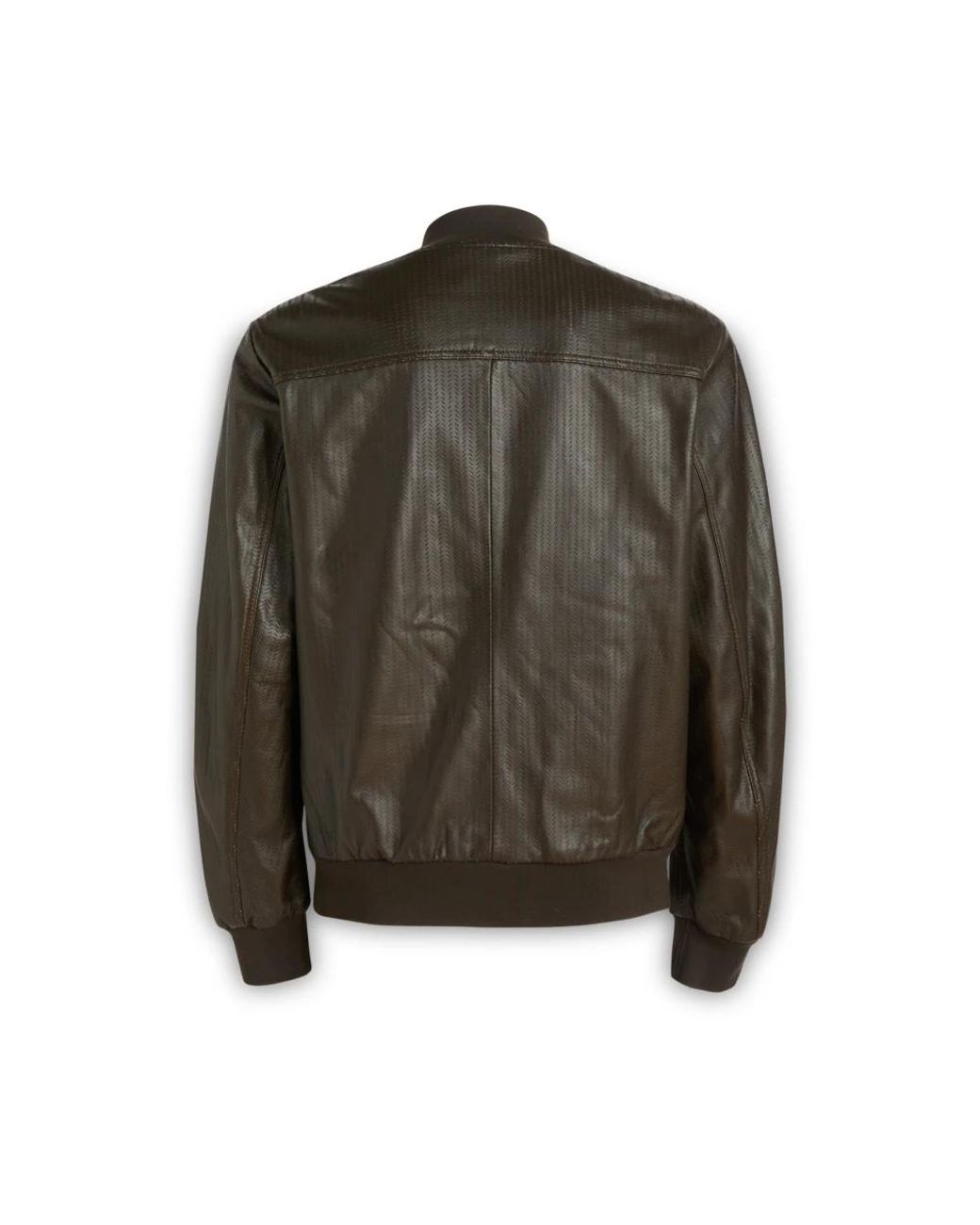 Bomber Jackets Giocasta en coloris Green