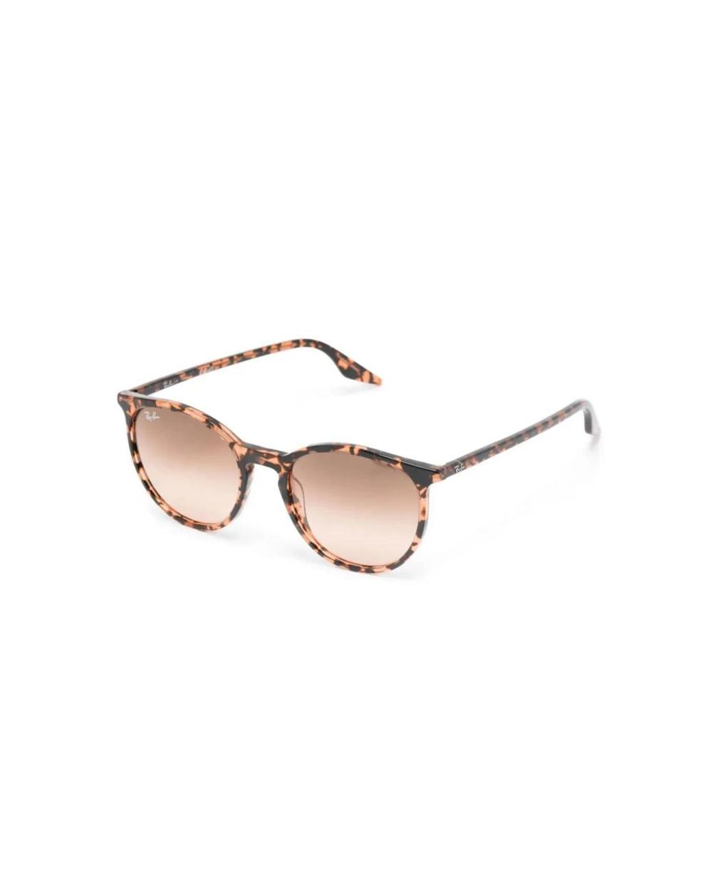 Ray-Ban Brown Sunglasses