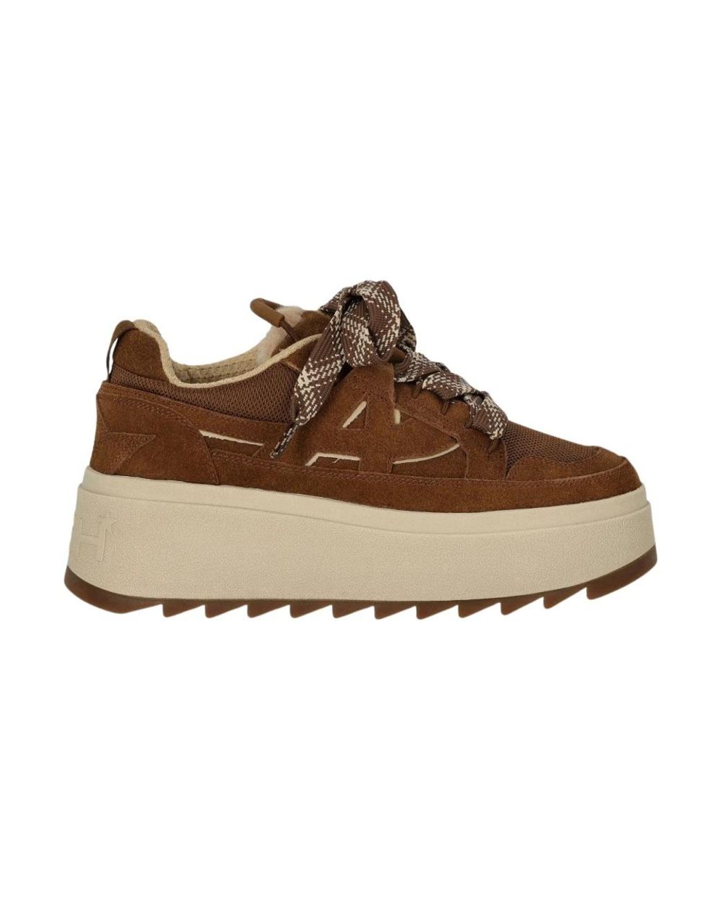 Sneakers Ash en coloris Brown