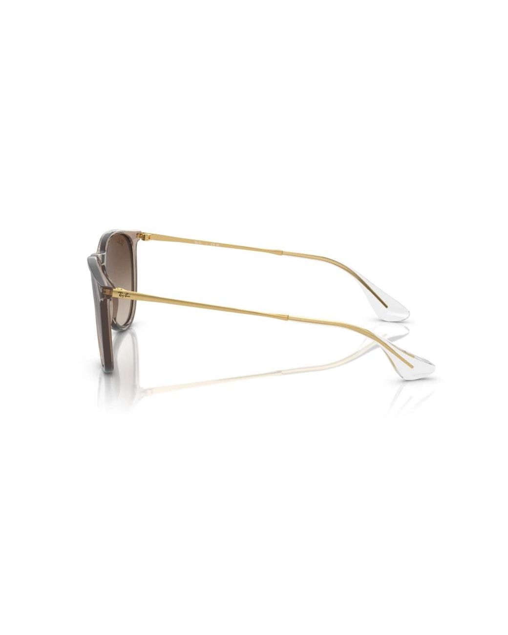 Ray-Ban Brown Sunglasses