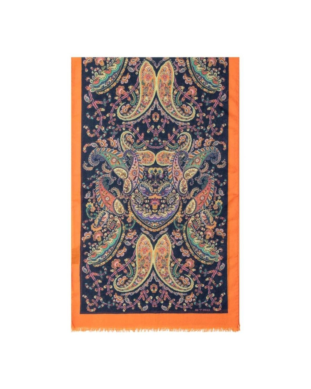 Etro Blue Winter Scarves