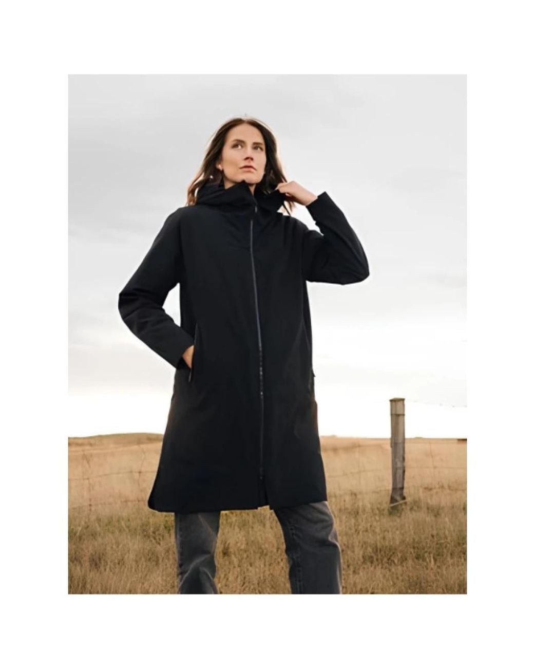 Scandinavian Edition Blue Parkas