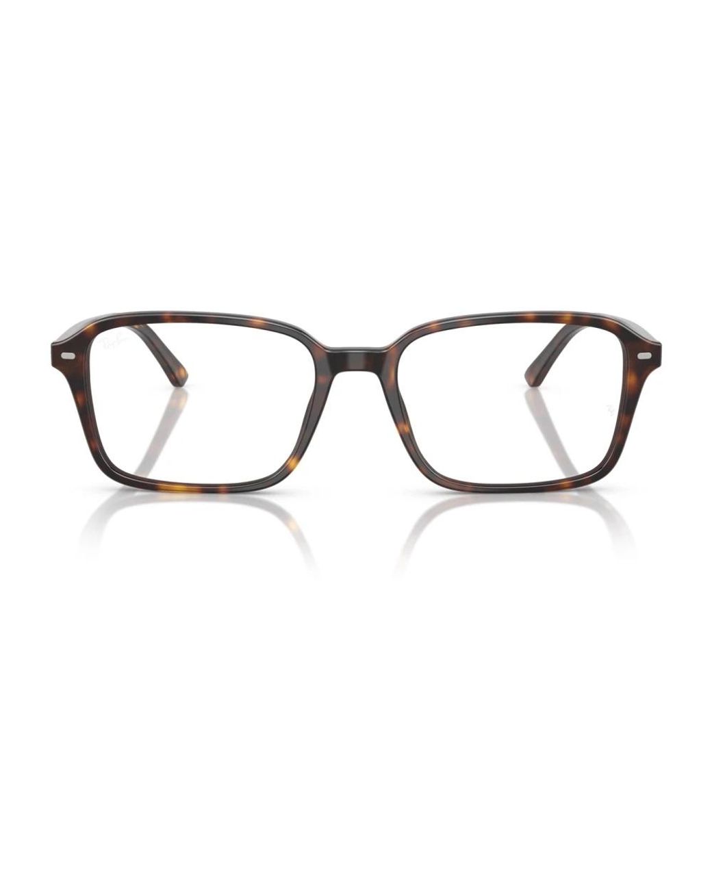 Ray-Ban Brown Glasses