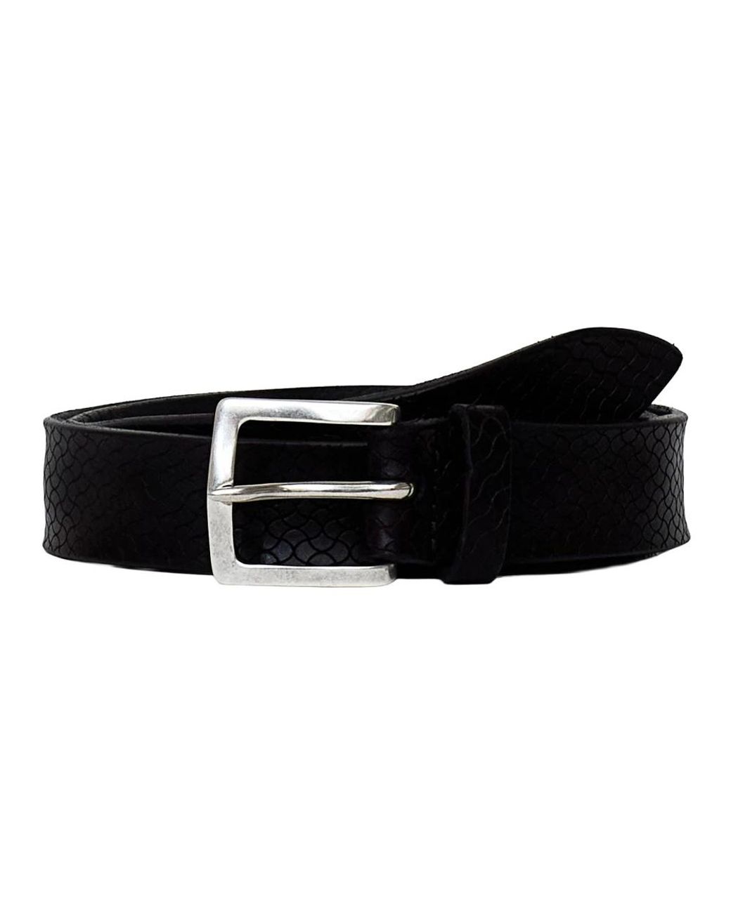 Orciani Black Belts for men